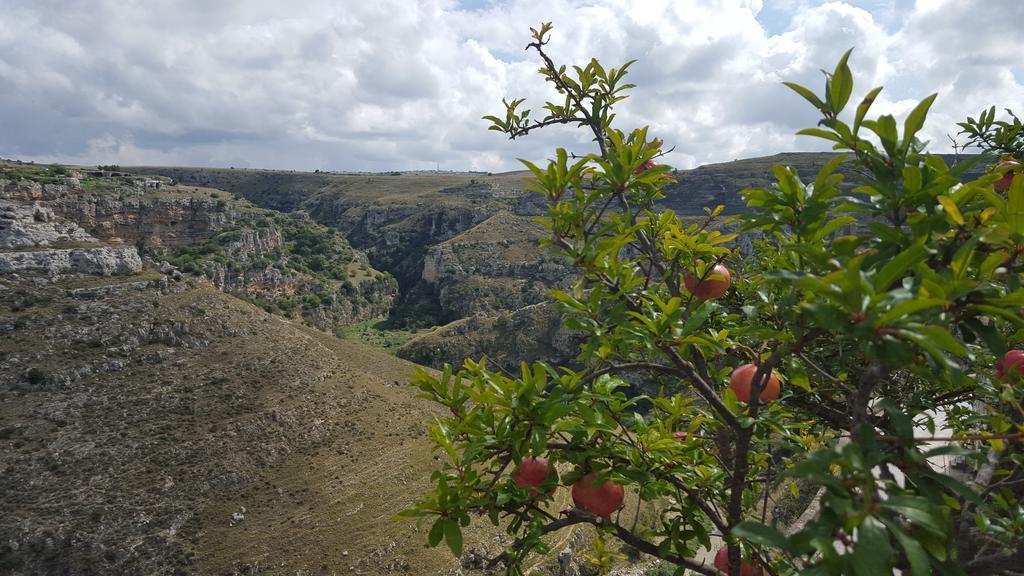 Casa Il Gufo E La Pupa Villa Matera Luaran gambar